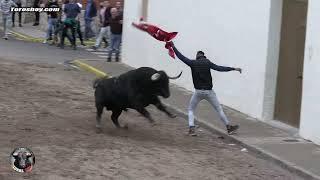 TOROS CERRILES EN VINALESA IMPRESIONANTES BRAVOS POR TOROS TV 2021