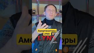 Амортизаторы от LYNX AUTO плохо или нет? #амортизаторы #lynx #lynxauto #вдеталяходеталях