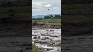 Epic River Crossing