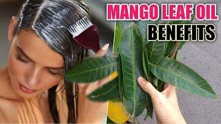 How To Make Mango Leaf Oil In Five Minutes  Benefits.