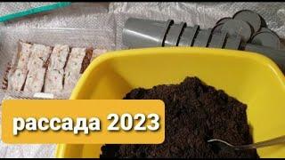 Рассада 2023 Проращивание Взошли просроченные семена Сажаю без пикировки.Перец томатыпетуния.