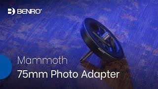 Benro MAP75 Accessory  Mammoth 75mm Photo Adapter