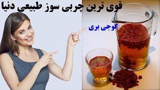 معرفی گوجی بری؛  قوی ترین چربی سوز طبیعی دنیا