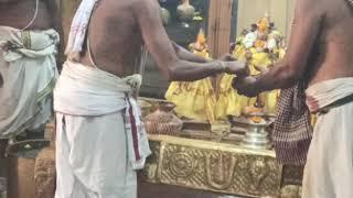 Kodaganallur Brahmotsavam highlights