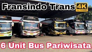 6 unit Bus Pariwisata Fransindo Trans Sidoarjo Jawa Timur