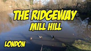 The Ridgeway Mill Hill London #walkingtour