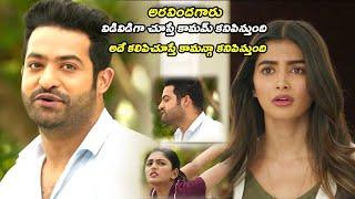 JR NTR Pooja Hegde And Eesha Rebba Comedy Scene  Telugu Movie Scenes  Naresh  Matinee Show