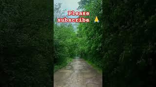 kokan #kokan #viral #shorts #subscribe #nature #love #rain #youtube #ytshorts #invironment