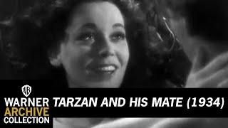 Clip  Tarzan and His Mate  Warner Archive