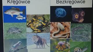 W królestwie zwierząt  biologia klasa 6