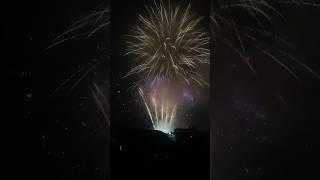 ️ FLASH WARNING ️ Who had fun at LSU’s Fireworks Extravaganza at the weekend?  #BonfireNight