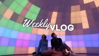 Scottsdale Vlog  Hiking Camelback Wonderspaces and Good Food