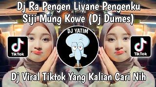 DJ RA PENGEN LIYANE PENGEN KU SIJI MUNG KOWE KENYATAAN E DUDUDUMES BY PANI FVNKY VIRAL TIKTOK 2023