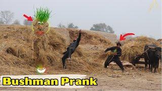 Best Of Crazy Fails BUSHMAN Prank Rewind 2022 @PendoBrandTv