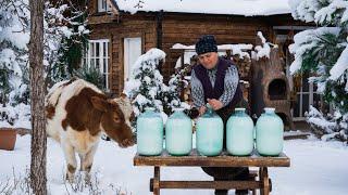 Cheesemaking Making FETA Cheese From Fresh Cows Milk