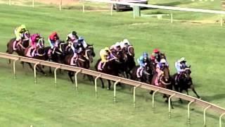 2004 Golden Slipper- Dance Hero