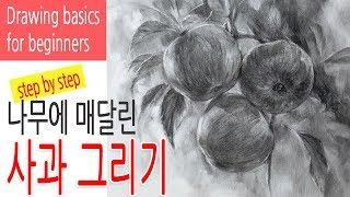 사과 그리기 미술수업공개 step by step 기초드로잉