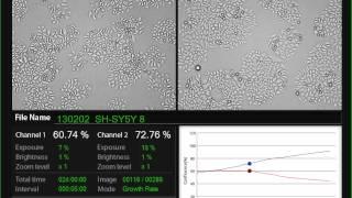 Gachon uni. Gold nanorods treatment on SH-SY5Y 24 hrs JuLI Br Dual system