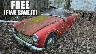 Free Abandoned Car Austin Healey Sprite First Wash in 31 Years Satisfying Detail Restoration
