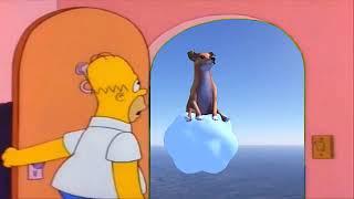 Dog of Wisdom Visits Homer Simpson