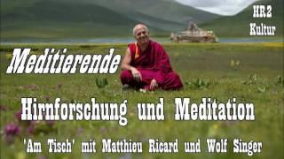 Meditierende - Hirnforschung und Meditation  Am Tisch mit Matthieu Ricard und Wolf Singer 