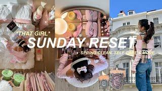  SUNDAY RESET ROUTINE  everything shower spring clean productivity & more