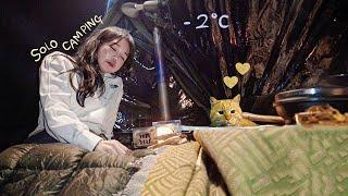 -2℃ cozy solo camping with K kotatsu  Cats fight to take over Rirang