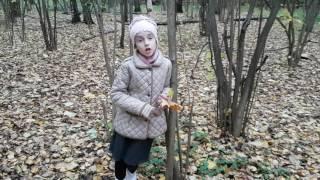 Страна читающая — Валерия Снопкова читает произведение «Сухие листья сухие листья...» В. Я. Брюсова