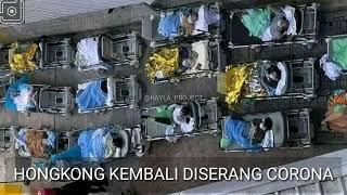 VIRAL  Hongkong kembali di guncang virus  UPDATE 