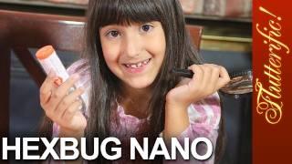 Hexbug Nano Awesome Toy Bug  Review by Flutterific