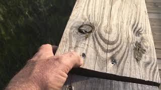 How To Properly Install Pressure Treated Wood Deck Boards.