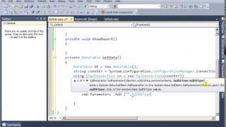 RDLC Report with parameters C# Code