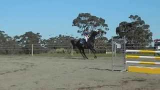 Frankie Greene and Eddie. Level 1 Show Jumping TTT HT 2015