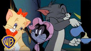 Tom & Jerry  Purrrrfect Cats   Classic Cartoon Compilation  @wbkids​
