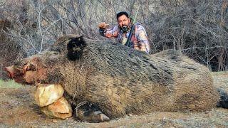 THE BEAST EPIC HUGE STRONG BOAR HUNTS BREATHTAKING ACTION SCENES #hunting #hog