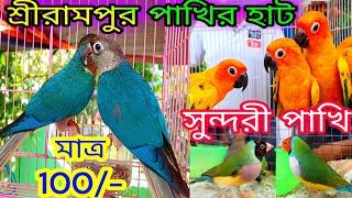 Exotic Birds  Price Update  Serampore Pakhir Haat  Serampore Pet Market   Exotic Birds