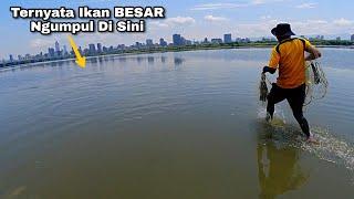 BINGUNG BUANG JALA DIMANA SEMUA TEMPAT ADA IKAN  IKAN NILA