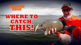 Fishing Edge episode - Sooty Grunter at Eungella Dam