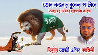 Bangla waj bangla waz  bangla wax  bangla waz  মুফতি নাসির উদ্দিন আনসারী দিল্লীর তেজী ওলির কাহিনী