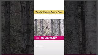 Tourist kicks bear in the face to chase it off -HokkaidoJapan #shorts