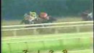 1980 Belmont Stakes