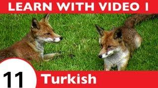 Learn Turkish with Video - TurkishClass101.com Is Not Your Ordinary Wolf in Sheeps Clothing