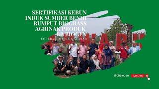 Sertifikasi Kebun Induk Sumber Benih Rumput Biograss Agrinak Produk BB Biogen