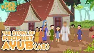 Prophet Stories In English  Story of Prophet Ayub AS  Stories Of The Prophets  Quran Stories