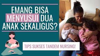 TIPS TANDEM NURSING  MENYUSUI 2 ANAK SEKALIGUS.