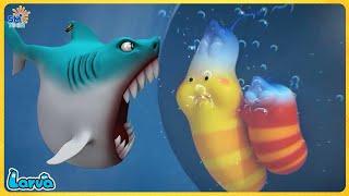  LARVA SEASON 6 FULL EPISODE SHARK GAME  CARTOON COMIC  HILARIOUS CARTOON COMPILATION