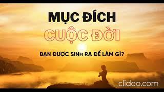 Mục đích của cuộc sống là gì?