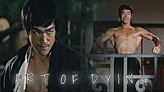 Bruce Lee - Art of Dying After Dark Edit
