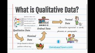 What is Qualitative Data? Three Types of Qualitative Data