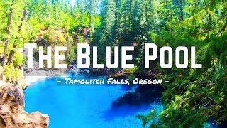 Hiking to the BLUE POOL  Tamolitch Falls Oregon  WARNING DIVING IN IS DANGEROUS DO NOT ATTEMPT